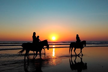 Puesta de sol playa andando en caballo