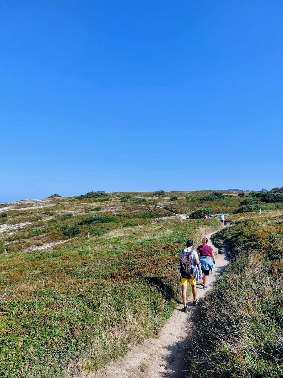 Sobre nosotros Dos personas del equipo de GoRandom caminando por un sendero entre brezo, con el mar al fondo